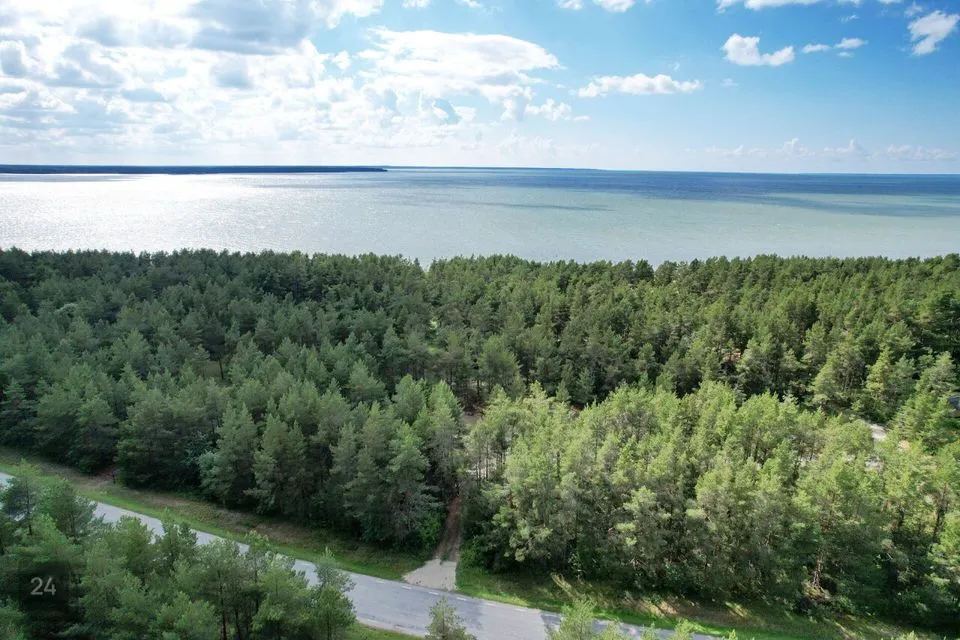 Maatulundusmaa, 7450 m² Maa  -  Saaremaa vald, Jõiste küla - foto 5