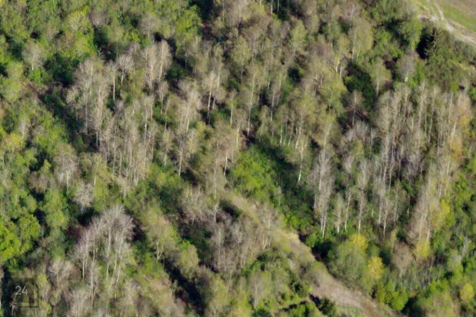 Elamumaa, 13515 m² Maa - Rae vald, Vaskjala küla - foto 2