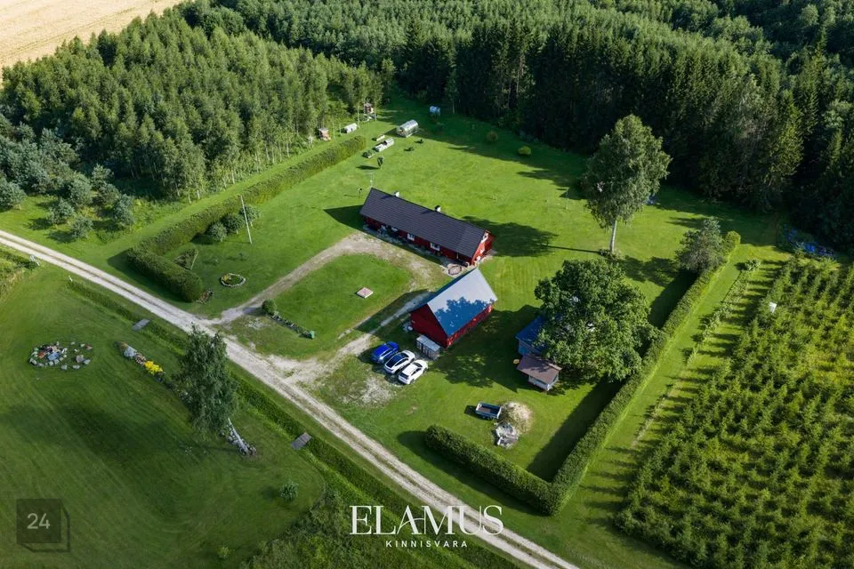 4-toaline Maja  -  Türi vald, Kärevere küla - foto 3