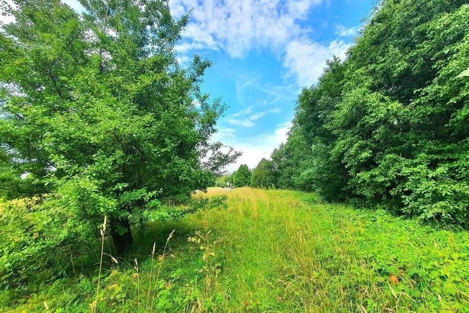 Elamumaa, 4895 m² Maa  -  Tallinn, Lasnamäe linnaosa - foto 5