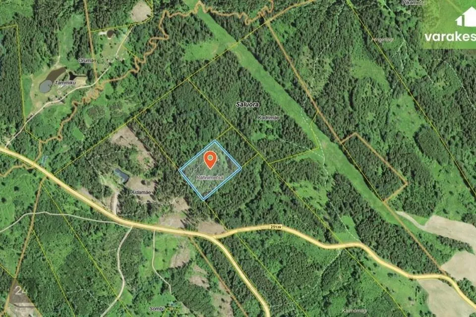 Elamumaa, 22100 m² Maa  -  Rõuge vald, Saluora küla