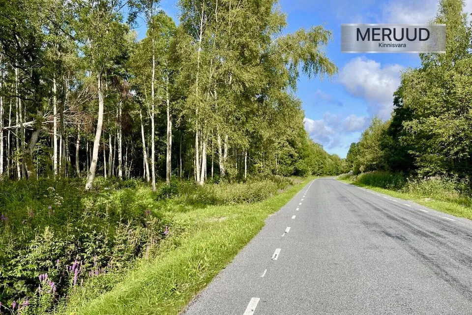 Maatulundusmaa, 15003 m² Maa - Saaremaa vald, Laugu küla