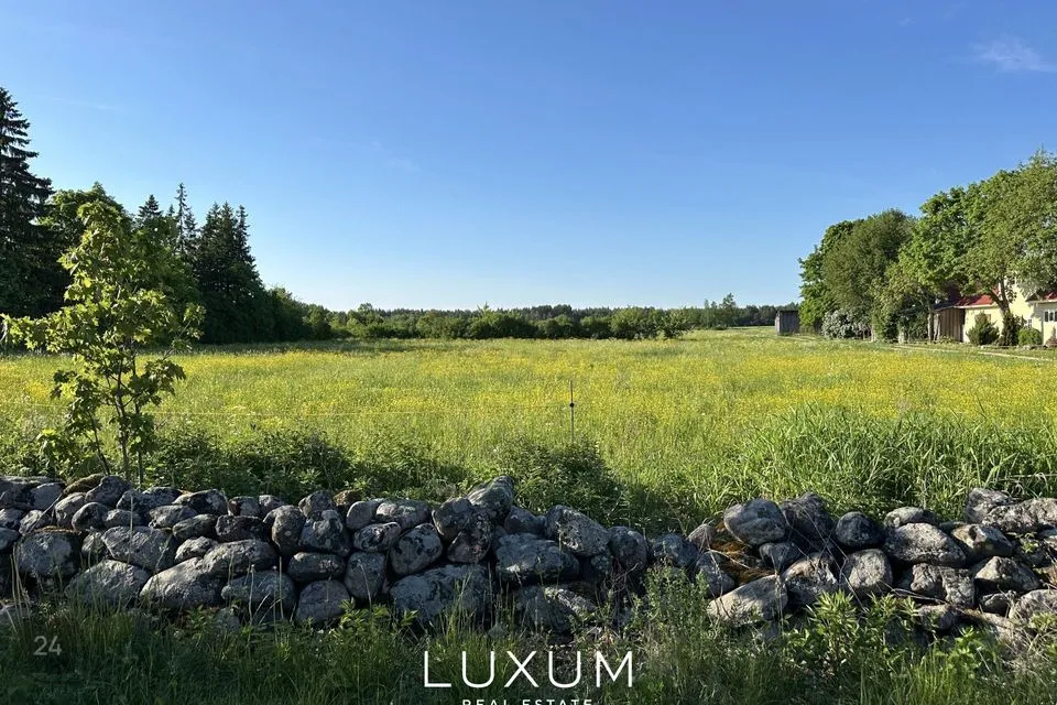 Elamumaa, 4705 m² Maa  -  Muhu vald, Paenase küla - foto 3