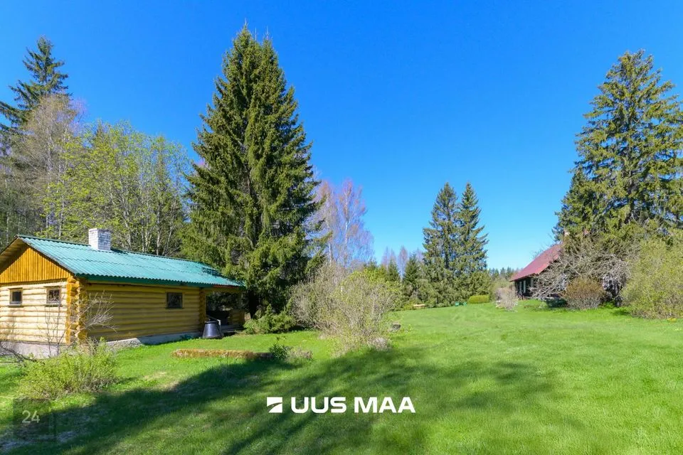 111 m² Summer home in Kadrina vald, Mõndavere küla - photo 4