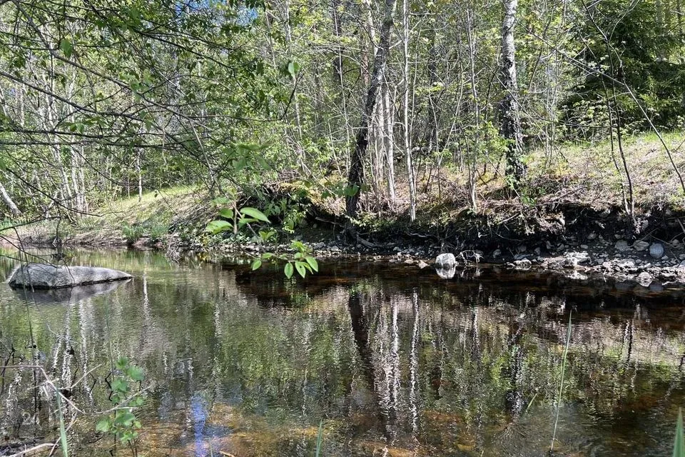 Maatulundusmaa, 33500 m² Maa  -  Märjamaa vald, Käbiküla - foto 4