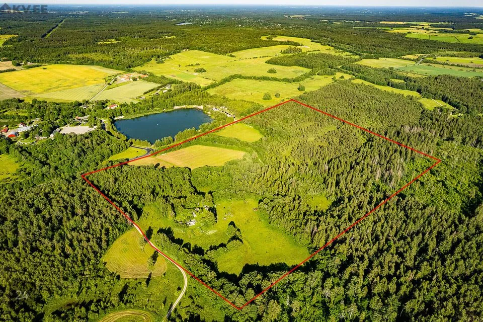 Maatulundusmaa, 260614 m² Maa  -  Saue vald, Pärinurme küla