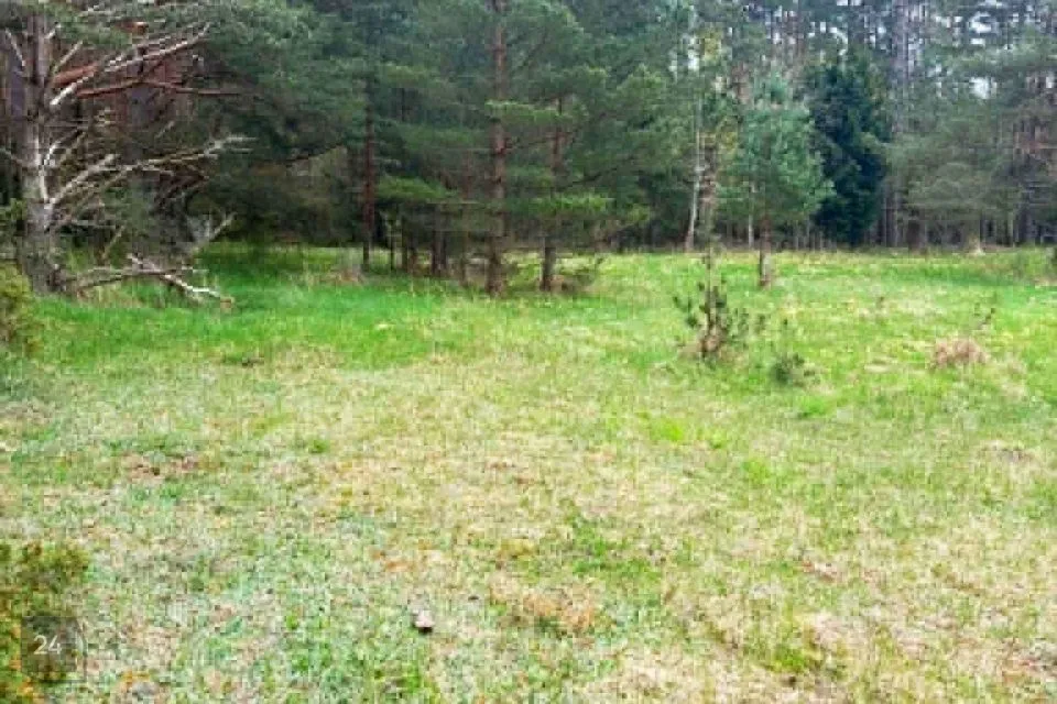 Maatulundusmaa, 14815 m² участок в Hiiumaa vald, Kaleste küla