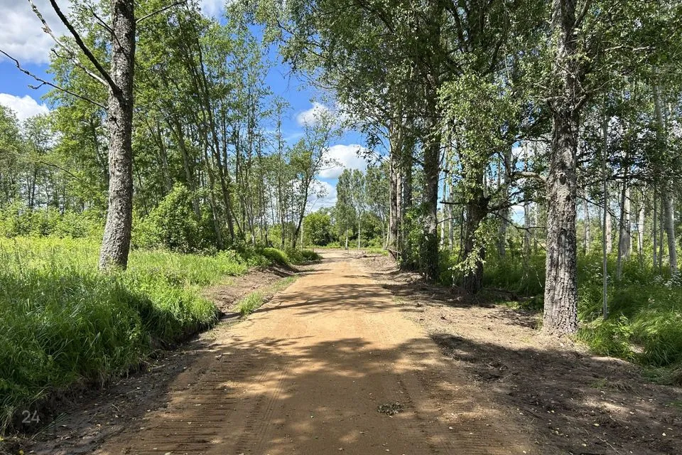 Elamumaa, 19537 m² Maa  -  Otepää vald, Lauküla - foto 3