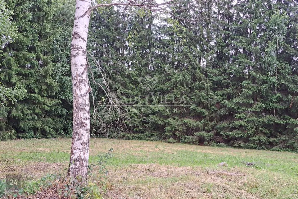 Elamumaa, 7389 m² Maa  -  Võru vald, Peraküla - foto 3