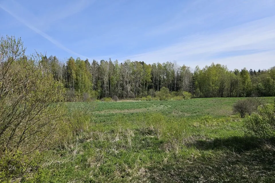Maatulundusmaa, 35699 m² участок в Vinni vald, Mõdriku küla - фото 4
