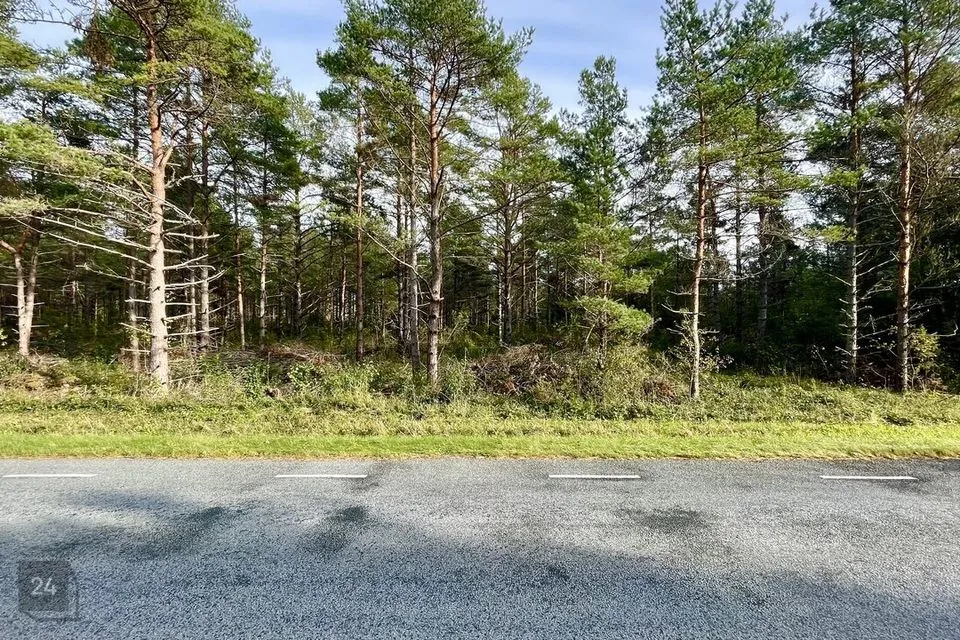 Maatulundusmaa, 22100 m² участок в Saaremaa vald, Vantri küla - фото 3