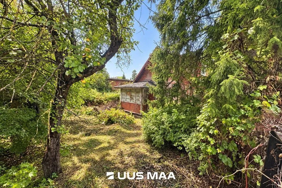 3-toaline Maja - Rakvere linn - foto 2