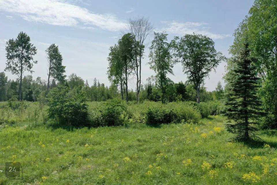 Maatulundusmaa, 20000 m² Maa - Väike-Maarja vald, Liivaküla - foto 5