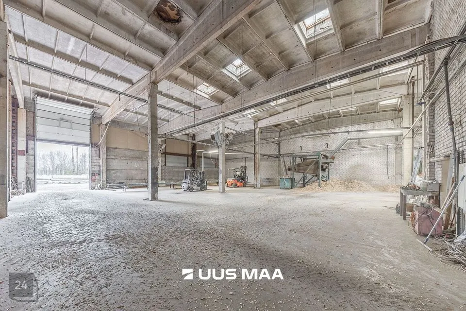 Mitme sihtotstarbega, 5618 m² Äripind - Tõrva vald, Roobe küla - foto 3