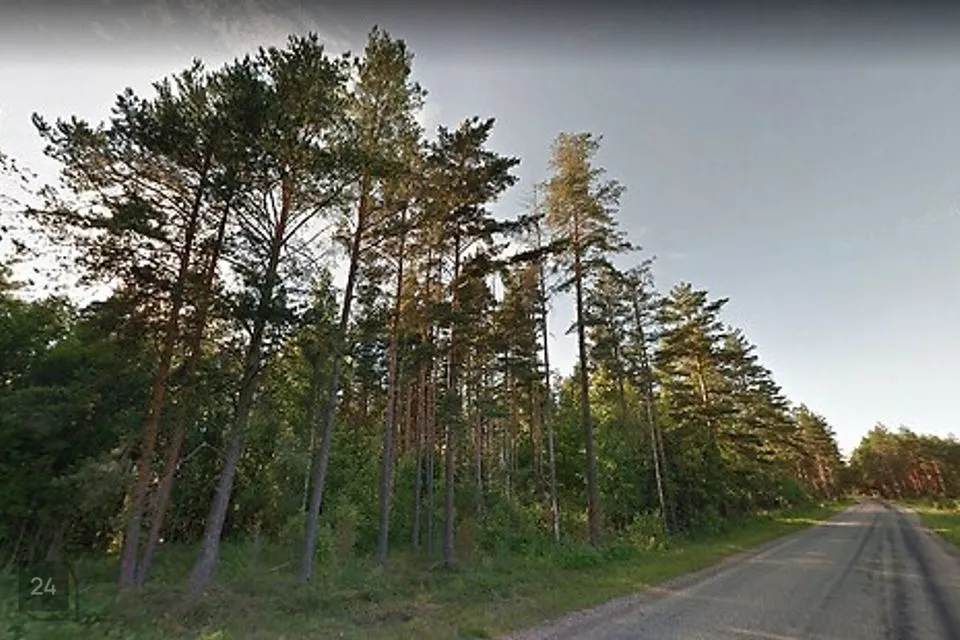 Maatulundusmaa, 31511 m² Maa  -  Setomaa vald, Väike-Rõsna küla - foto 3