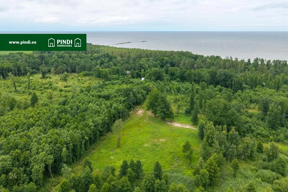 Maatulundusmaa, 3099 m² Maa - Viru-Nigula vald, Kalvi küla - foto 3