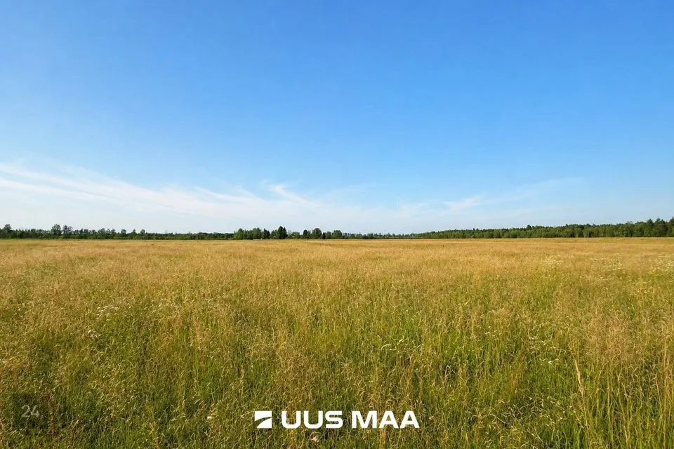 Elamumaa, 23998 m² Maa  -  Kiili vald, Nabala küla - foto 2