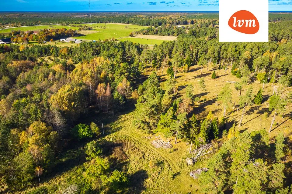 Maatulundusmaa, 90310 m² Maa  -  Saaremaa vald, Tagamõisa küla