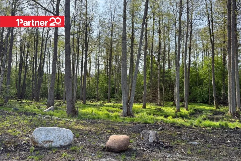 Transpordimaa, 4294 m² участок в Harku vald, Suurupi küla