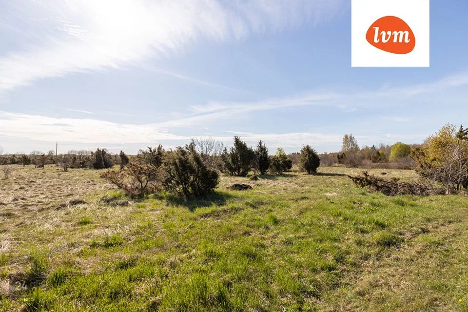 Maatulundusmaa, 67600 m² Maa - Jõelähtme vald, Ruu küla