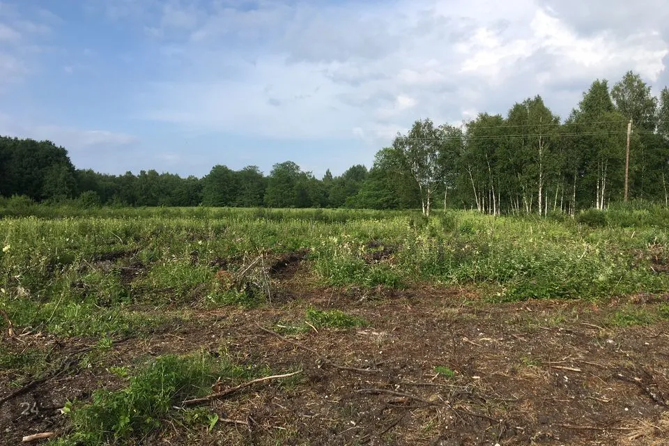 Elamumaa, 17508 m² Maa - Lääne-Nigula vald, Riguldi küla / Rickul - foto 4