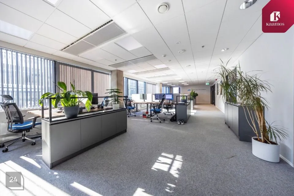 Mitme sihtotstarbega, 550 m² Äripind  -  Tallinn, Kesklinna linnaosa - foto 4