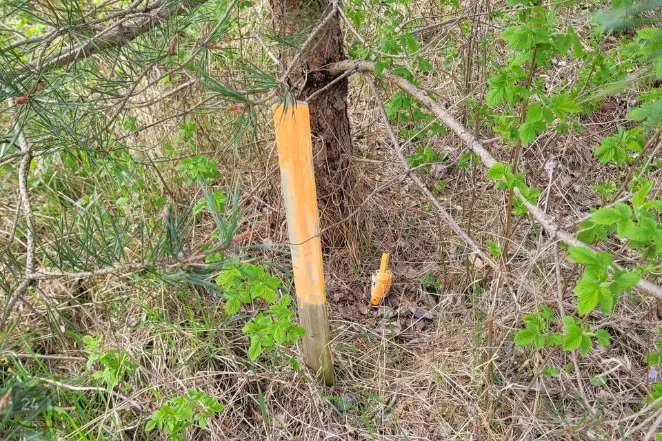 Elamumaa, 3660 m² Maa  -  Kuusalu vald, Sõitme küla - foto 5