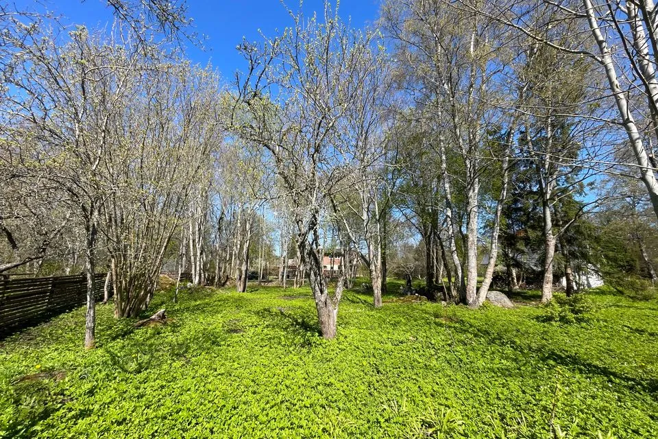 Elamumaa, 1204 m² Maa  -  Viimsi vald, Randvere küla - foto 3