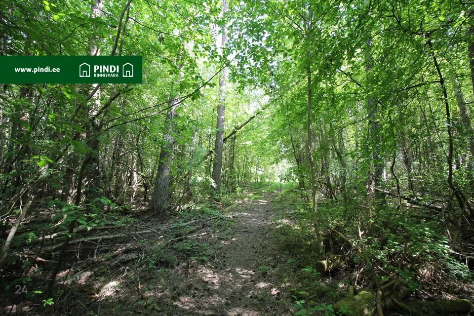 Maatulundusmaa, 50953 m² участок в Vormsi vald, Suuremõisa küla - фото 5