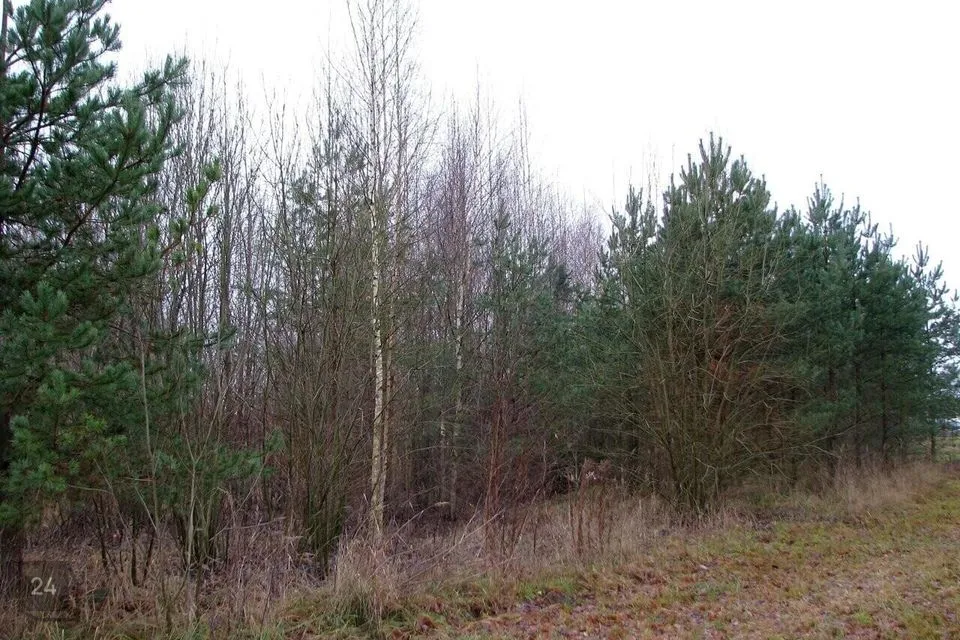 Земля жилой застройки, 1385 m² участок в Türi vald, Türi linn - фото 2