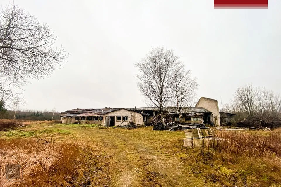 Другое, 736 m² Бизнес-площадь в Viljandi vald, Mäeltküla