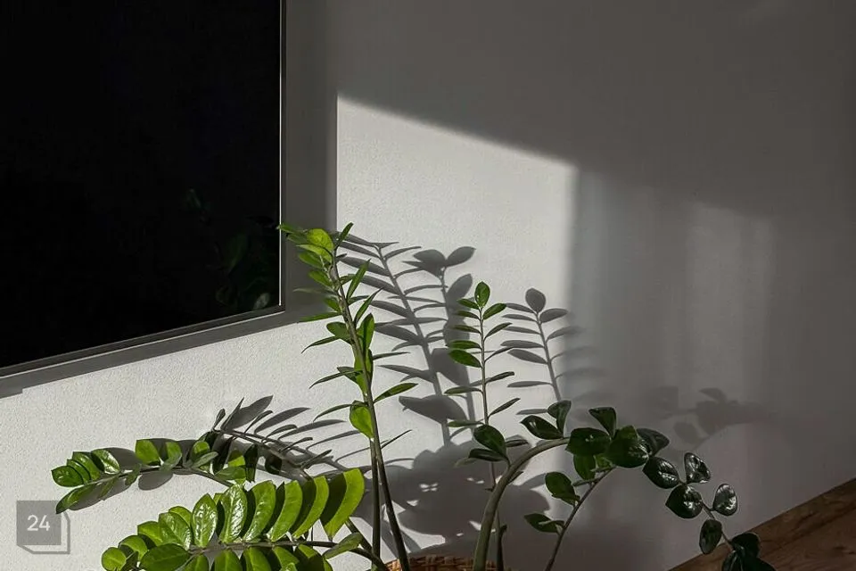 3-toaline Korter - Tallinn, Lasnamäe linnaosa - foto 4