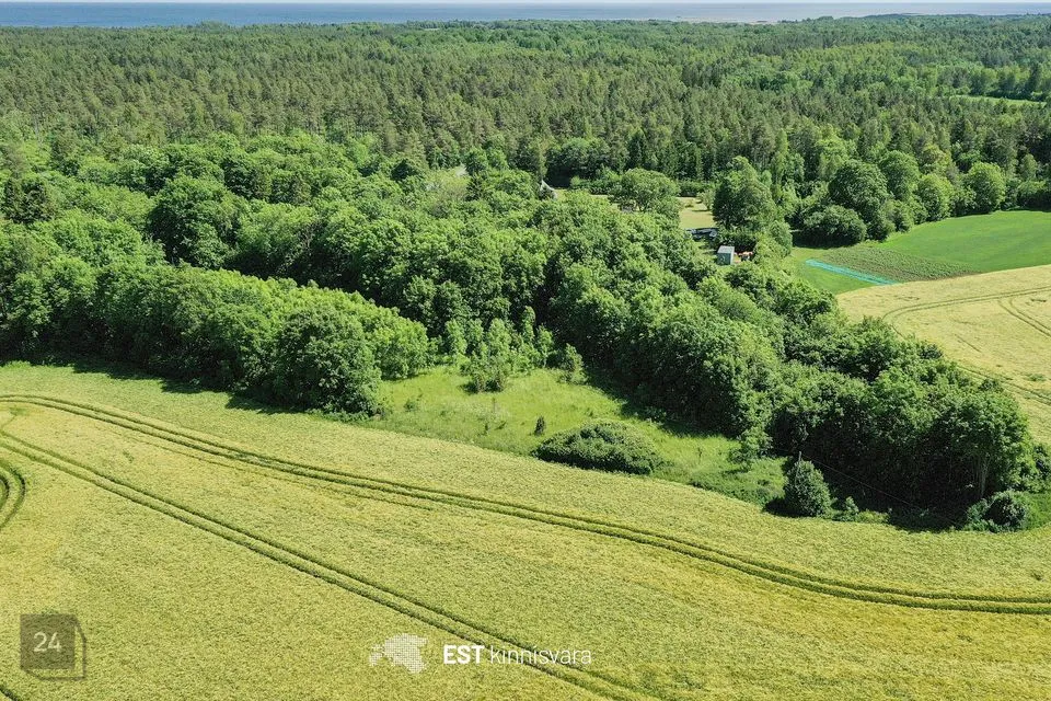Maatulundusmaa, 12000 m² участок в Saaremaa vald, Valjala-Nurme küla - фото 4