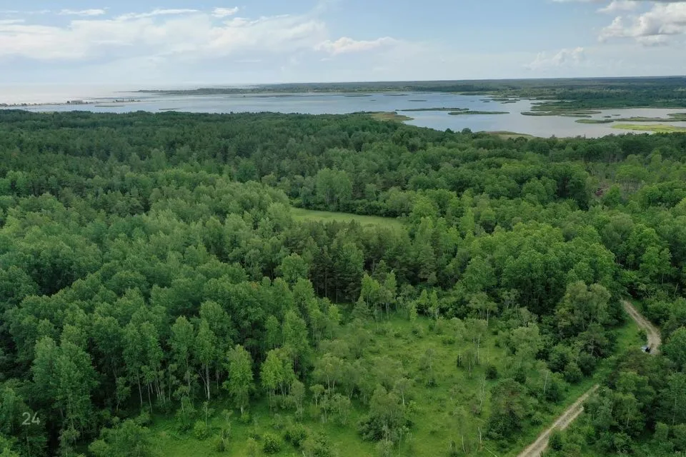 Maatulundusmaa, 89800 m² Maa - Saaremaa vald, Kõiguste küla - foto 4