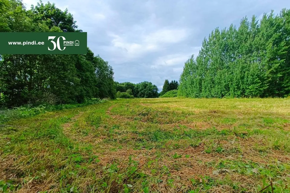 Maatulundusmaa, 7790 m² Maa - Rakvere vald, Raudvere küla - foto 4