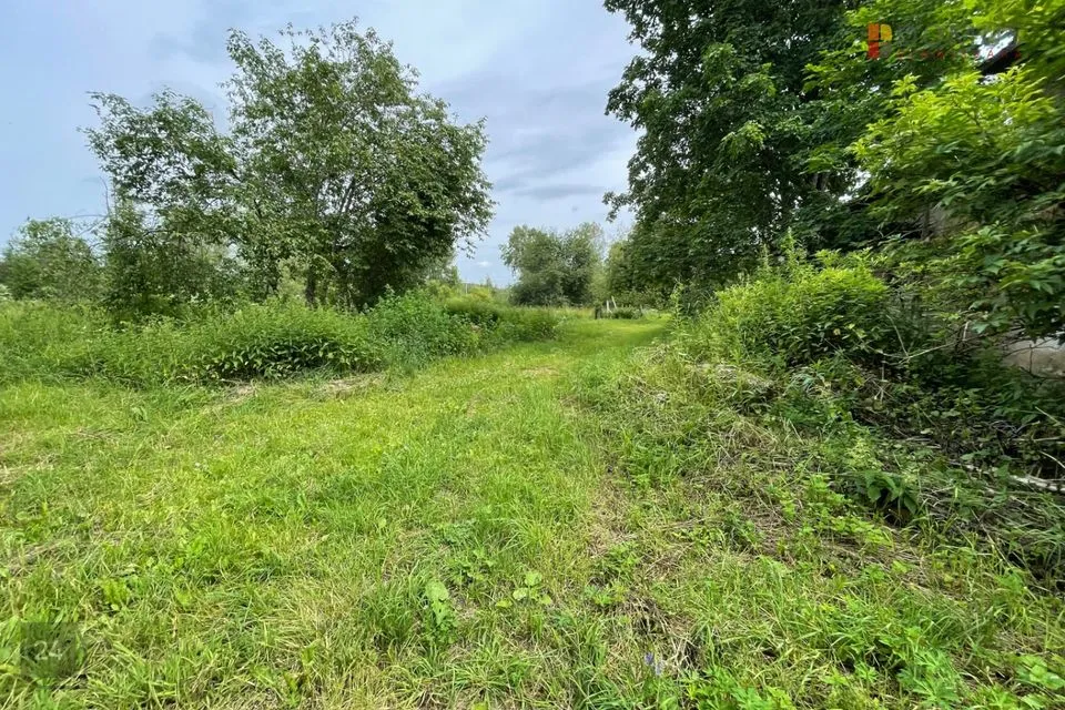 Tootmismaa, 26860 m² Maa - Tapa vald, Läste küla - foto 5