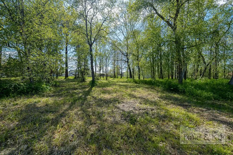Elamumaa, 2771 m² Maa - Jõelähtme vald, Uusküla - foto 4