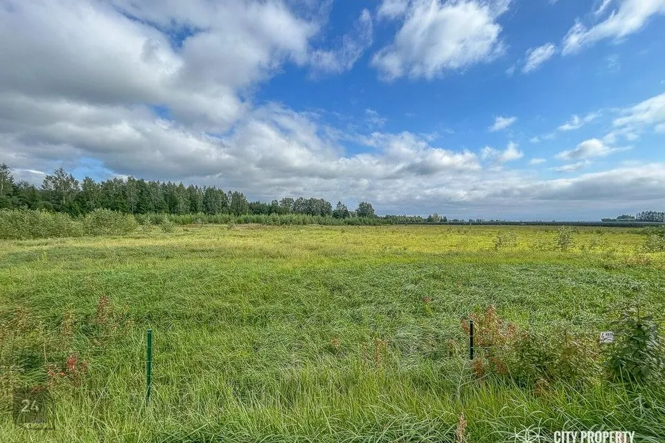 Tootmismaa, 24801 m² Maa - Rapla vald, Valtu küla