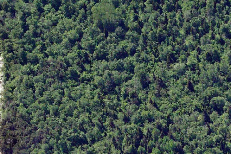 Elamumaa, 12034 m² Maa  -  Saaremaa vald, Mõntu küla - foto 5