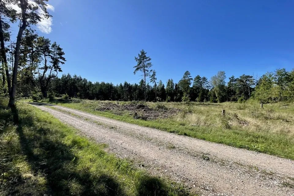 Maatulundusmaa, 24500 m² Maa - Saaremaa vald, Torgu-Mõisaküla - foto 2