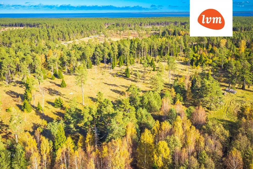 Maatulundusmaa, 90310 m² Maa  -  Saaremaa vald, Tagamõisa küla - foto 3