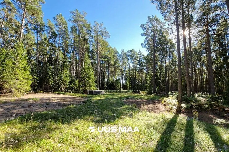 Земля жилой застройки, 10097 m² участок в Hiiumaa vald, Kalana küla - фото 4