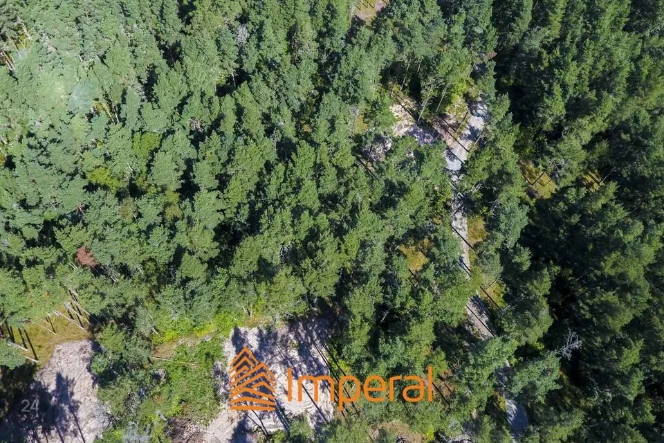 Maatulundusmaa või Ärimaa, 4531 m² Maa - Saaremaa vald, Mändjala küla - foto 5