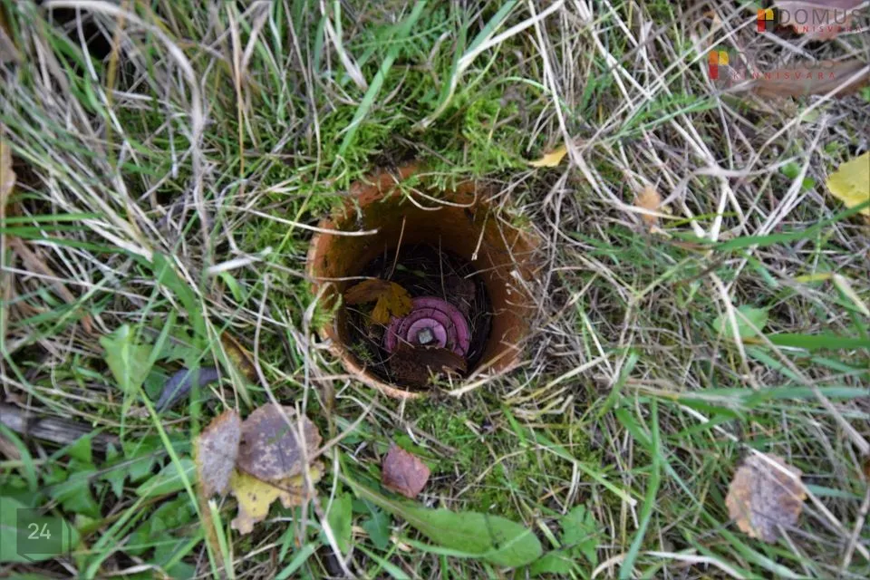 Multi-purpose, 11548 m² land in Keila linn - photo 5