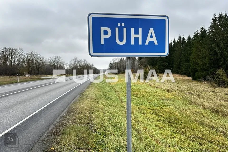 Maatulundusmaa Maa - Saue vald, Püha küla