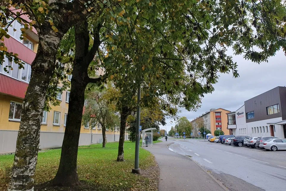 1-toaline Korter  -  Kohtla-Järve linn, Järve linnaosa - foto 3