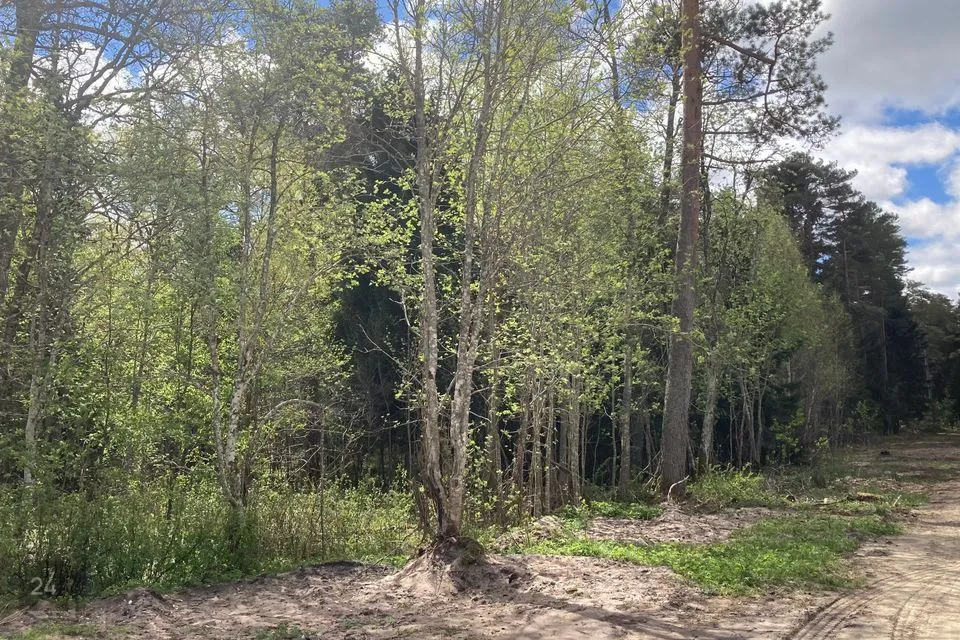 Земля жилой застройки, 14187 m² участок в Saaremaa vald, Järve küla - фото 4