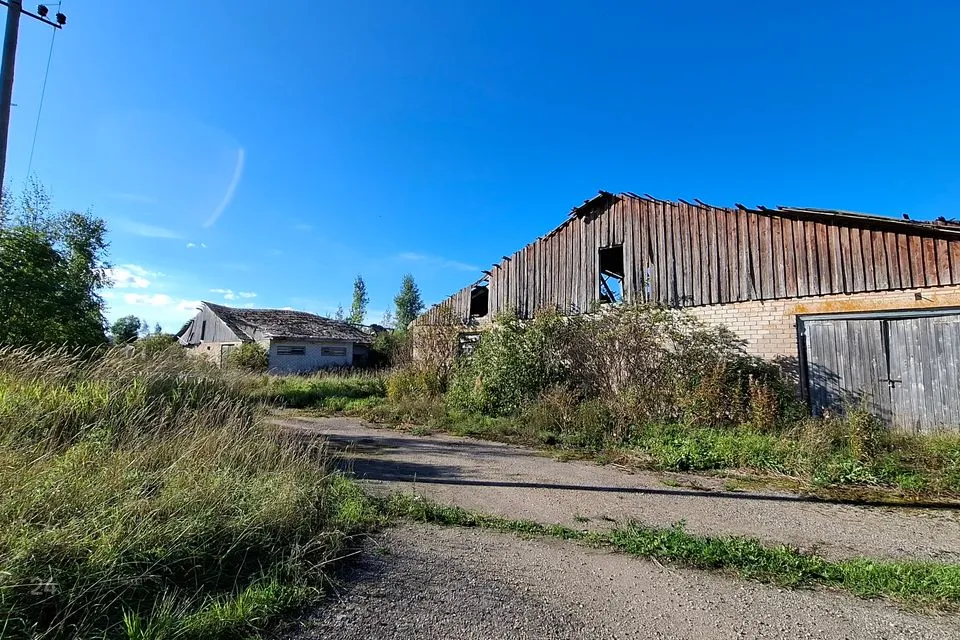 Земля производственного назначения, 45673 m² участок в Väike-Maarja vald, Koonu küla - фото 3