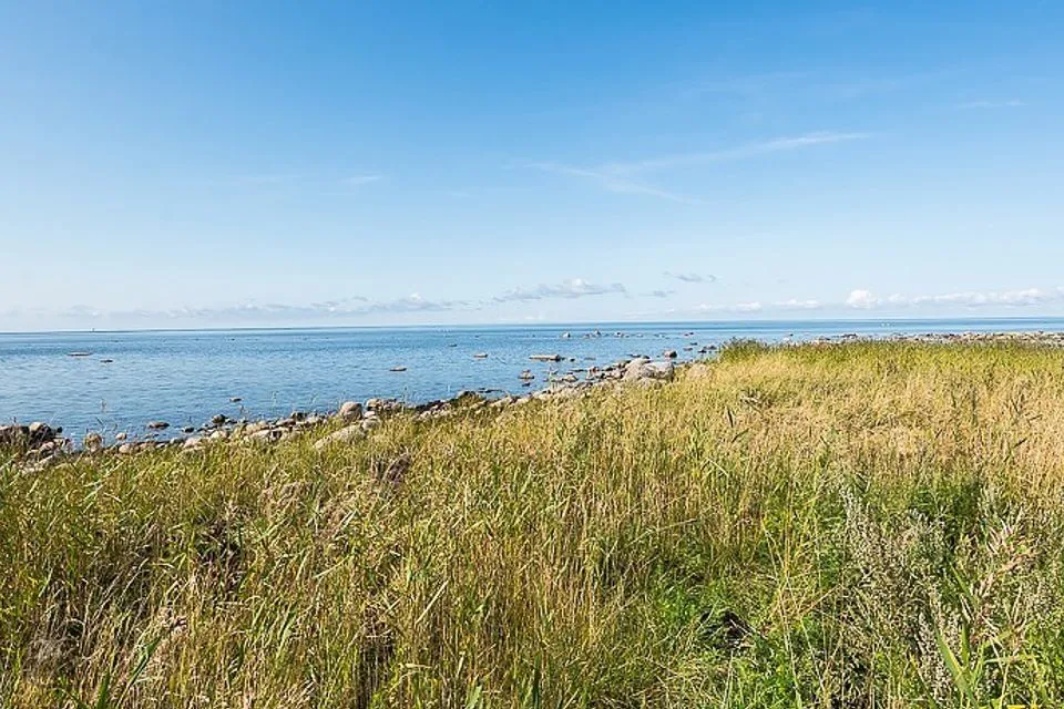 Земля жилой застройки, 16585 m² участок в Häädemeeste vald, Võiste alevik - фото 3
