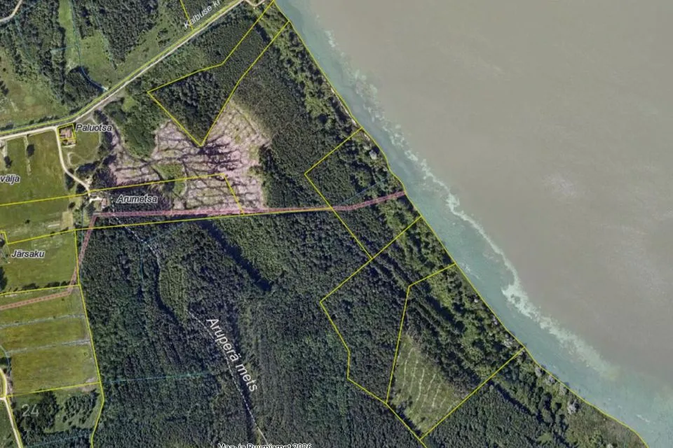 Maatulundusmaa, 42543 m² Maa  -  Viljandi vald, Kalbuse küla - foto 2